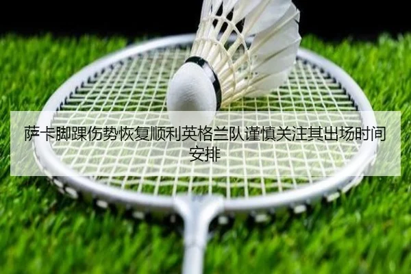 img_1783253380043_446_0_753.jpg